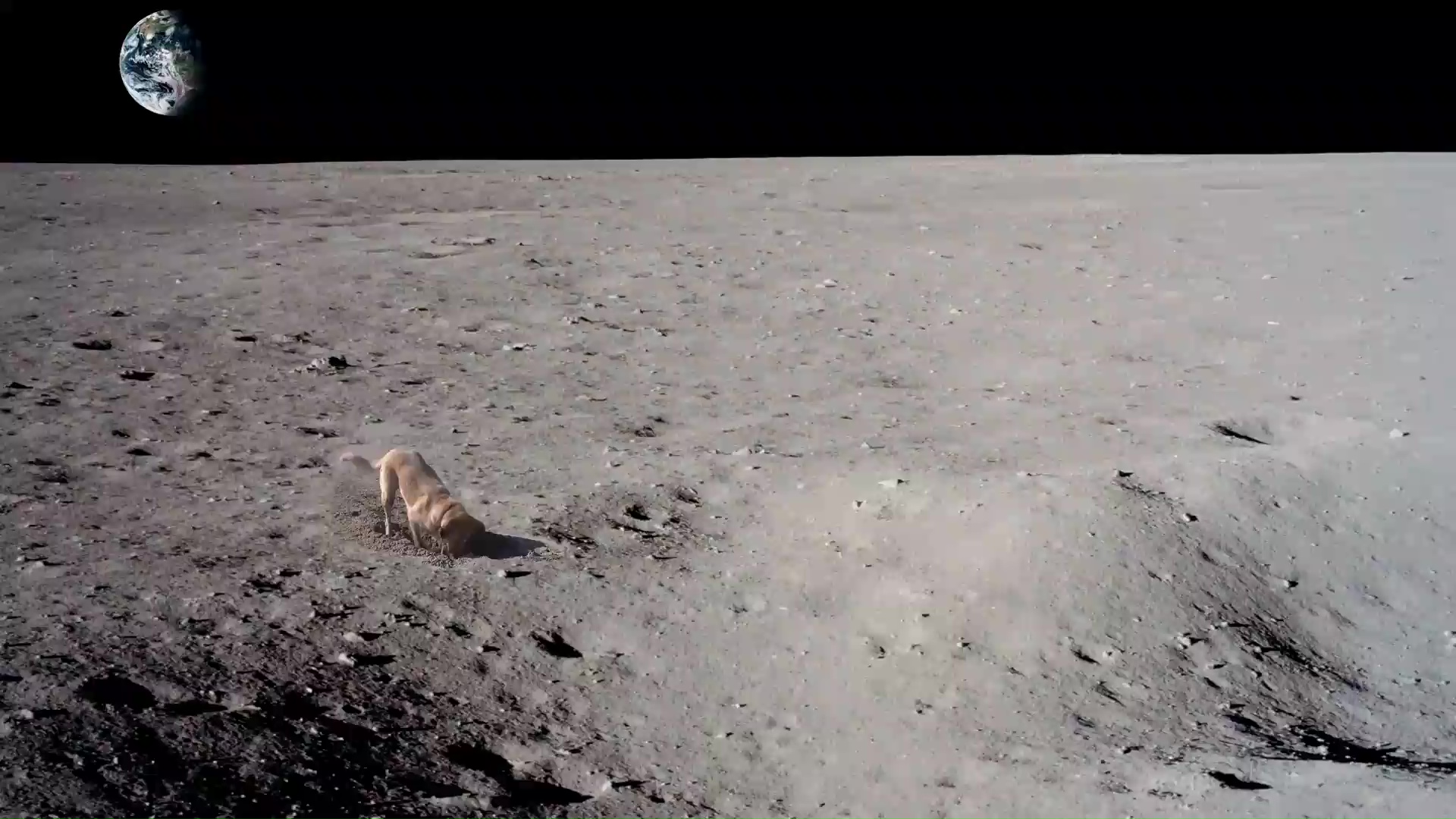 Собака На Луне